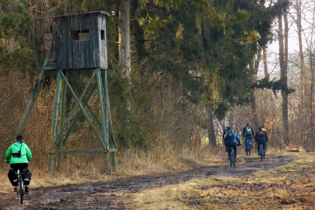 Kraina lasów, jezior, bursztynowego szlaku i Napoleona. To zobaczysz na Pojezierzu Brodnickim