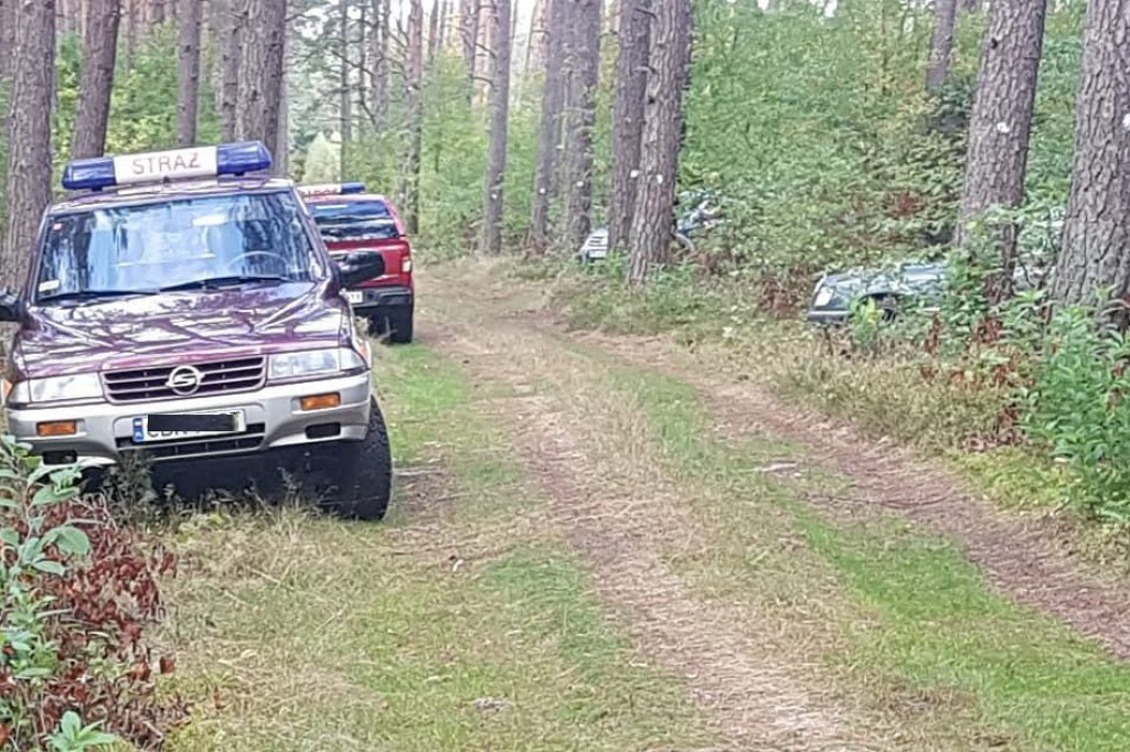 Brodnica i okolice. Na pomoc ruszyło sześć wozów policyjnych, a z nimi straż pożarna i leśna. Zaskakujący finał