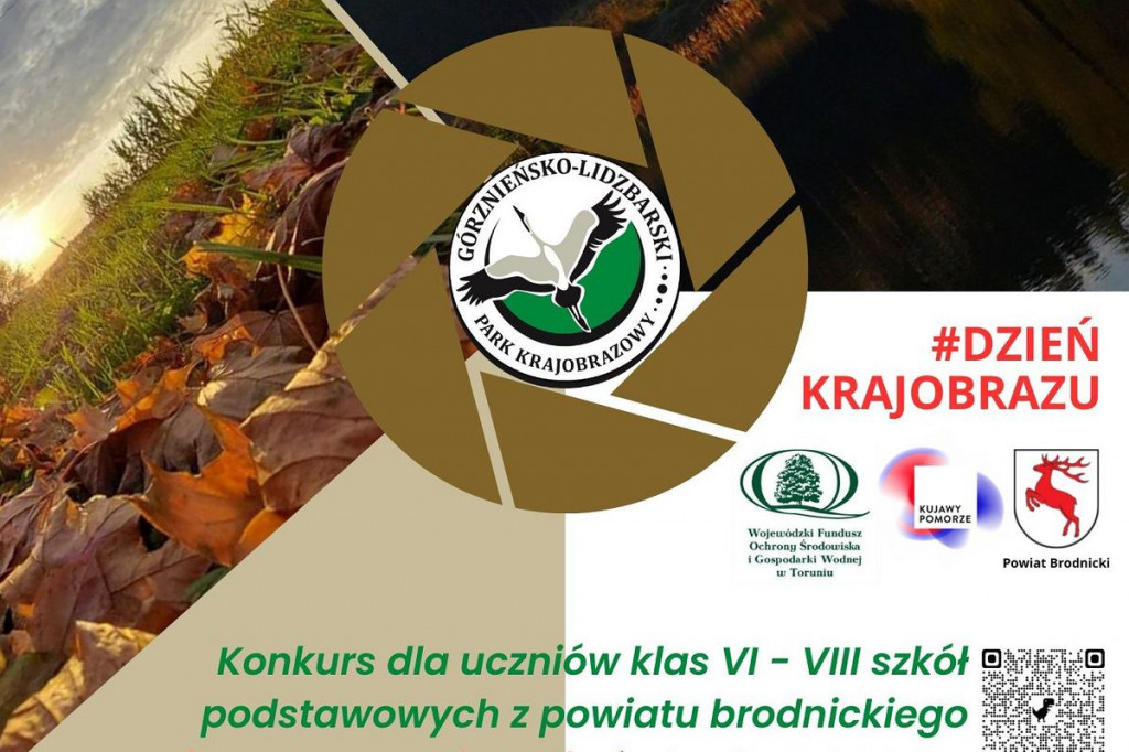 Brodnica i okolice. Wielki koncert prosto z kościelnej wieży i jesienne pikniki [KALENDARZ IMPREZ]