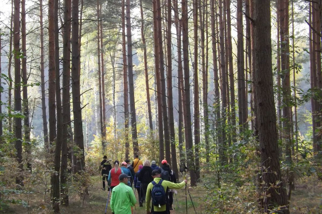 Brodnica. Kilkadziesiąt osób uczciło pamięć Wojtka Kupczyka. Był pieszy rajd w jesiennej scenerii [DUŻO ZDJĘĆ]