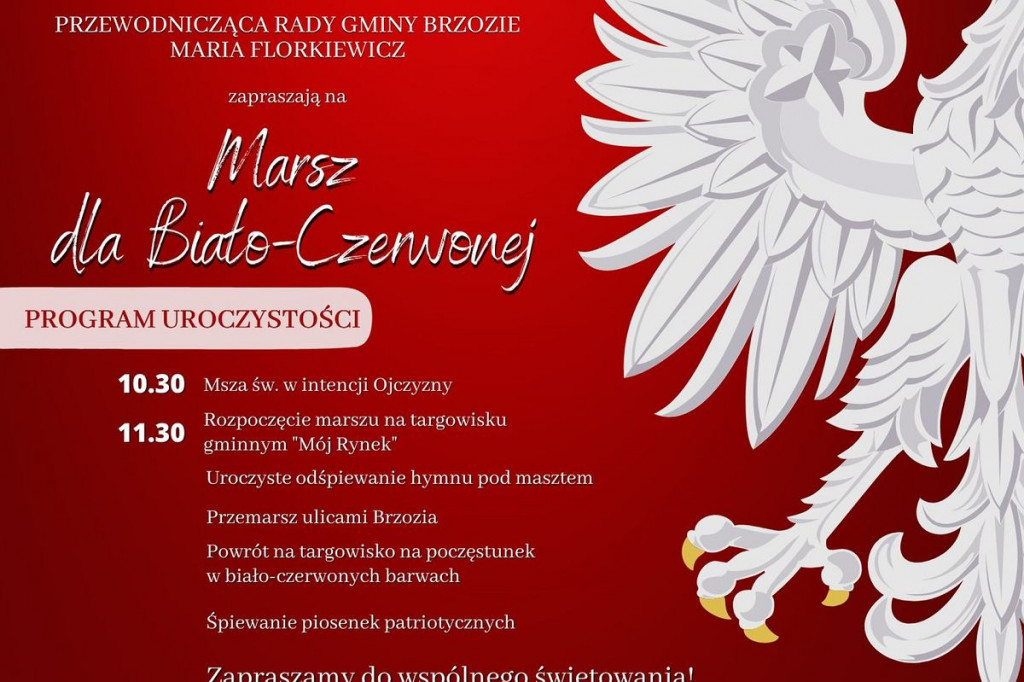 Brodnica i okolice. Świętowanie nie tylko na poważnie. Będą wodne szaleństwa i 