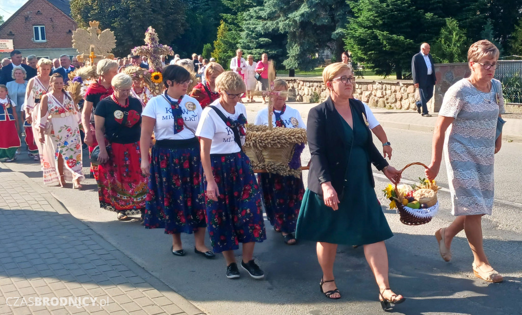 Wielkie święto rolników. Dożynki w Świedziebni [ZDJĘCIA]