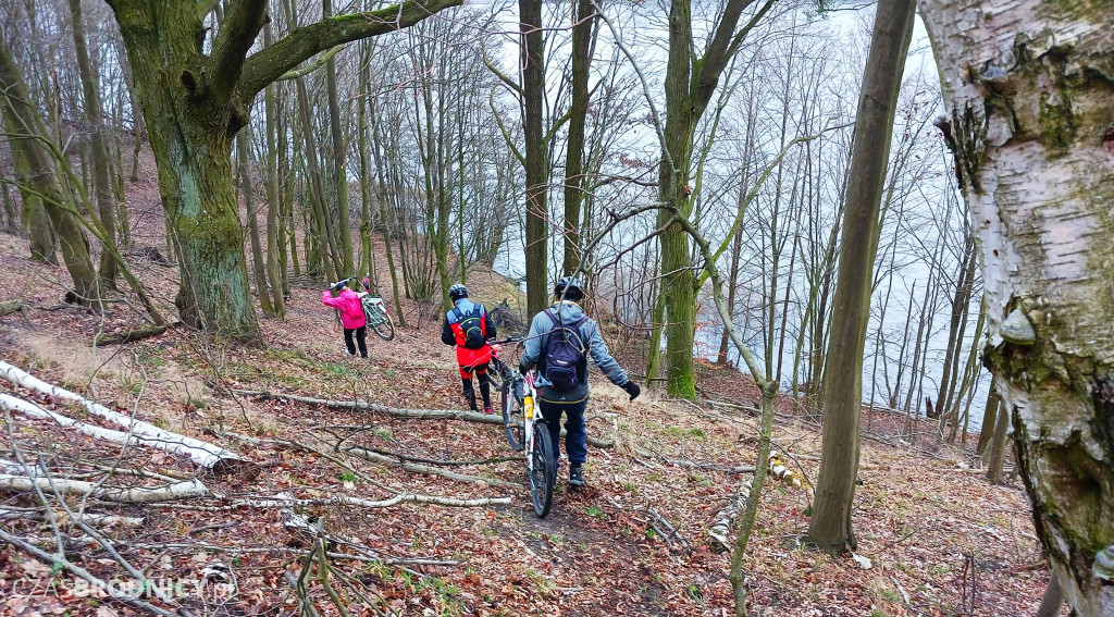 Brodnica. Dookoła Niskiego Brodna [ZDJĘCIA, MAPKA]