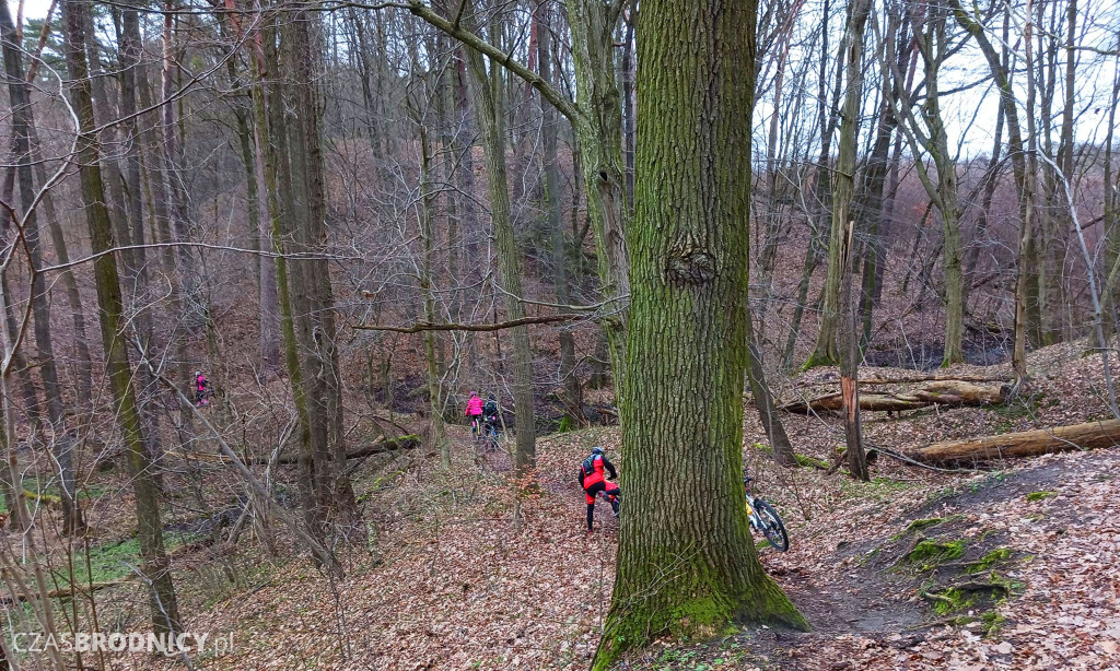 Brodnica. Dookoła Niskiego Brodna [ZDJĘCIA, MAPKA]