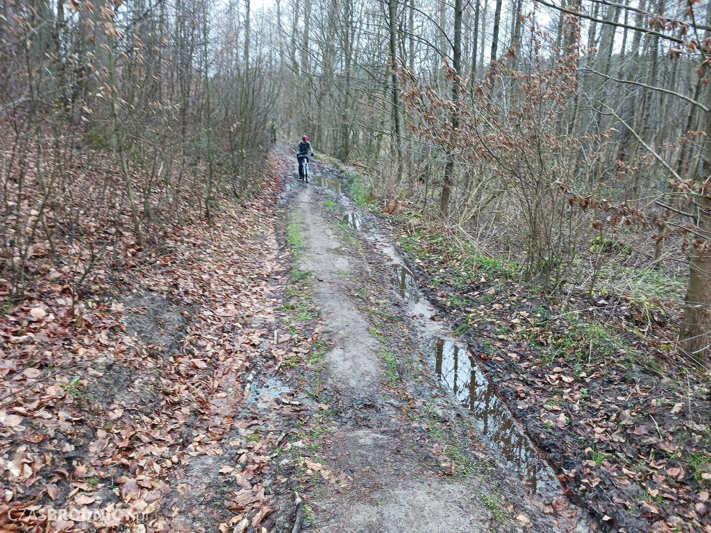 Brodnica. Dookoła Niskiego Brodna [ZDJĘCIA, MAPKA]