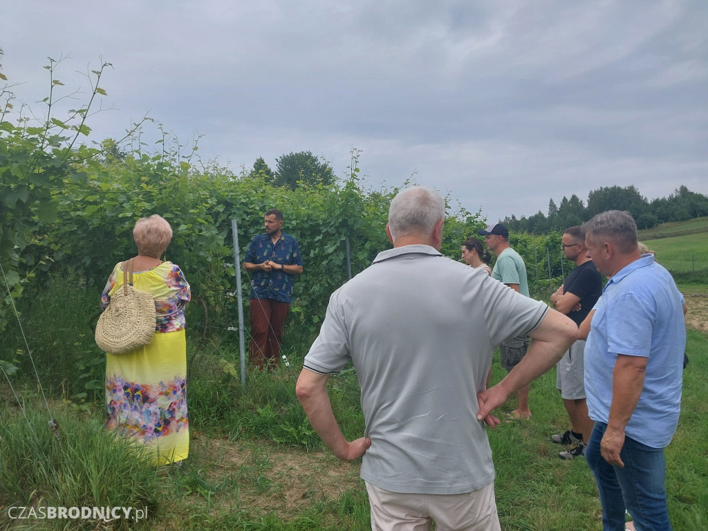 Ciekawe miejsca w okolicach Brodnicy. Winnica Sztolcman