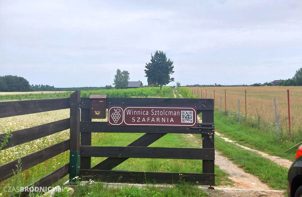 Ciekawe miejsca w okolicach Brodnicy. Winnica Sztolcman