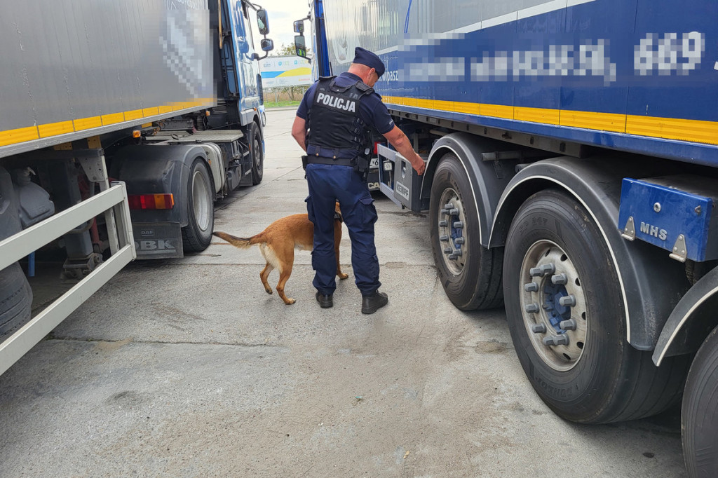 Wielka akcja strażaków, policjantów i służb medycznych niedaleko Brodnicy