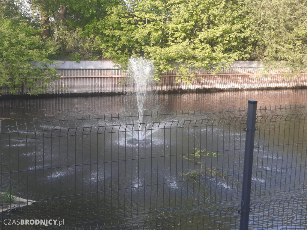 Brodnica. Piknik rodzinny na Zakolu Drwęcy