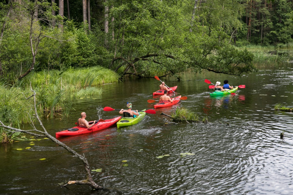 Brodnicki Park Krajobrazowy ma 40 lat