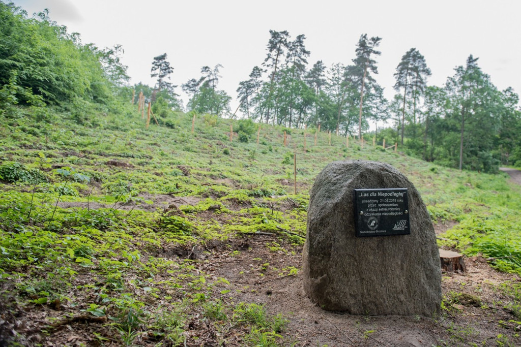 Brodnicki Park Krajobrazowy ma 40 lat