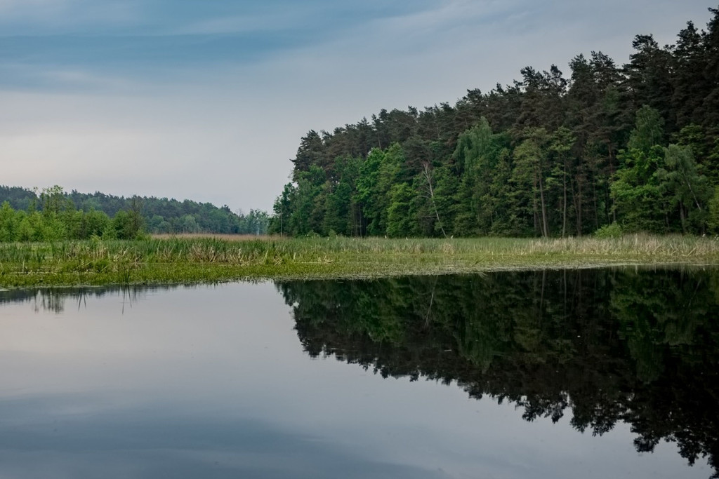 Brodnicki Park Krajobrazowy ma 40 lat