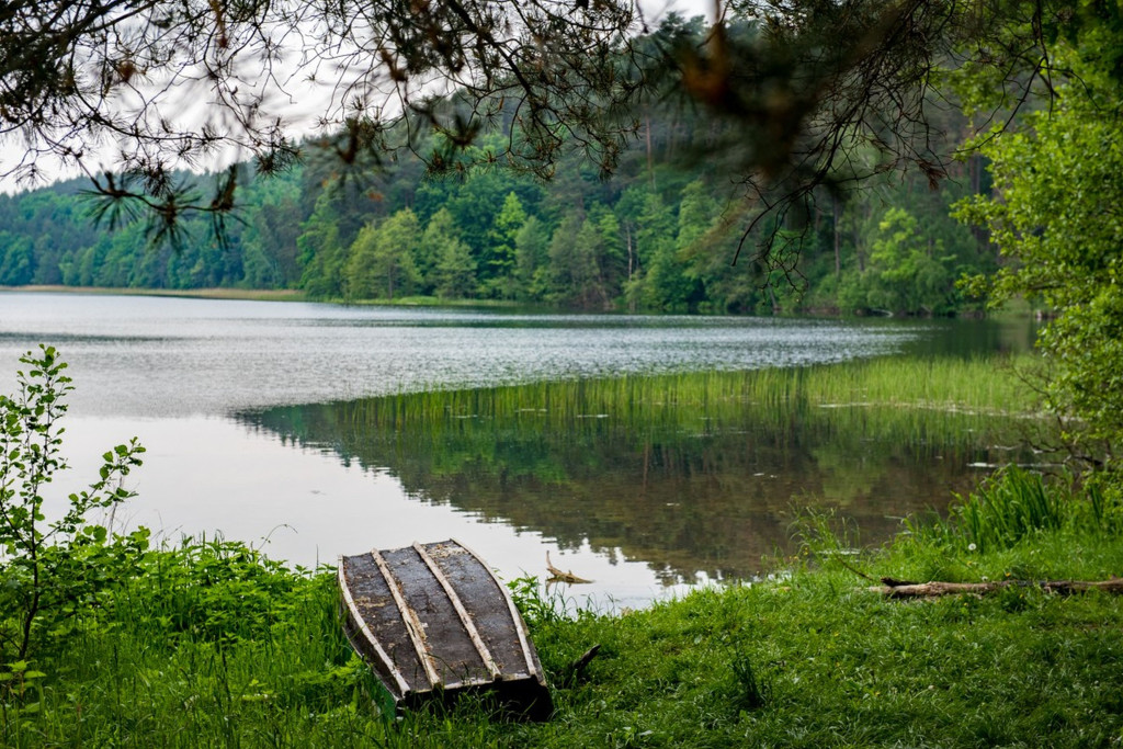 Brodnicki Park Krajobrazowy ma 40 lat