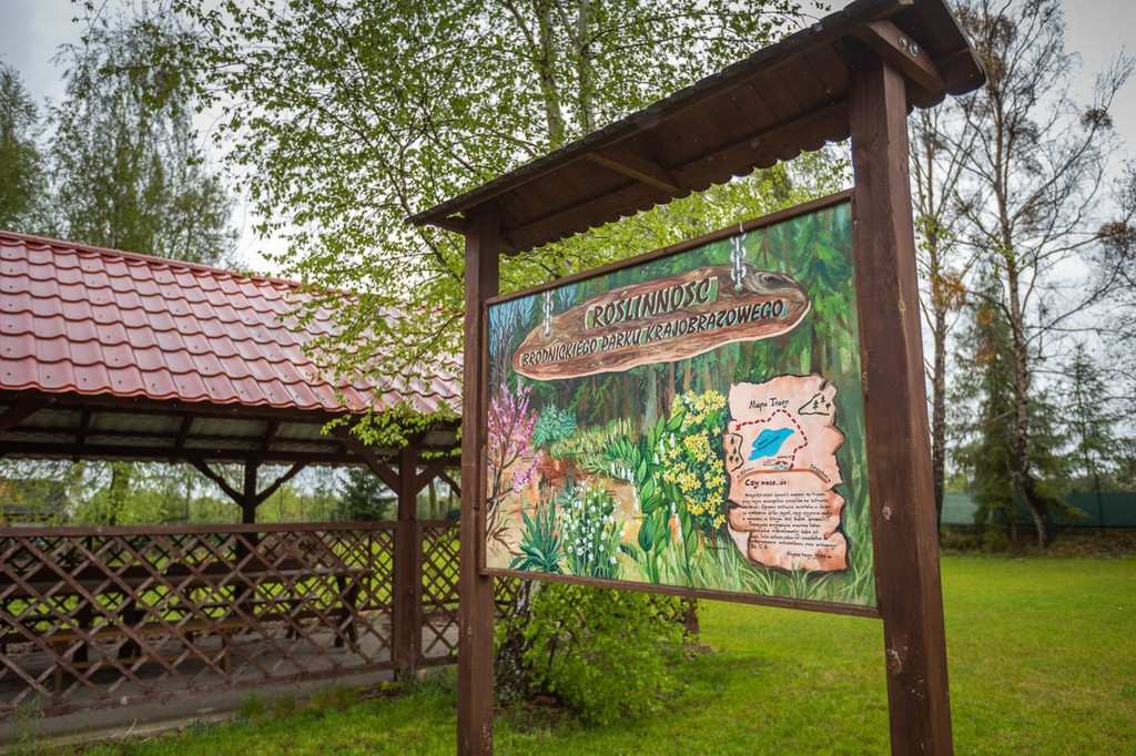 Brodnicki Park Krajobrazowy ma 40 lat