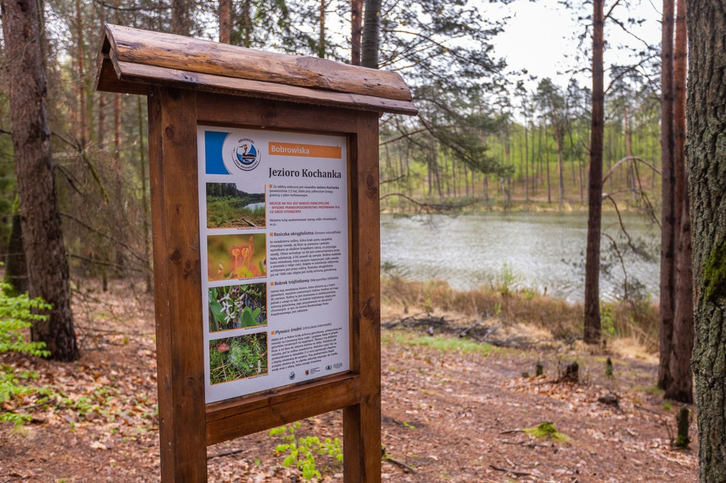 Brodnicki Park Krajobrazowy ma 40 lat