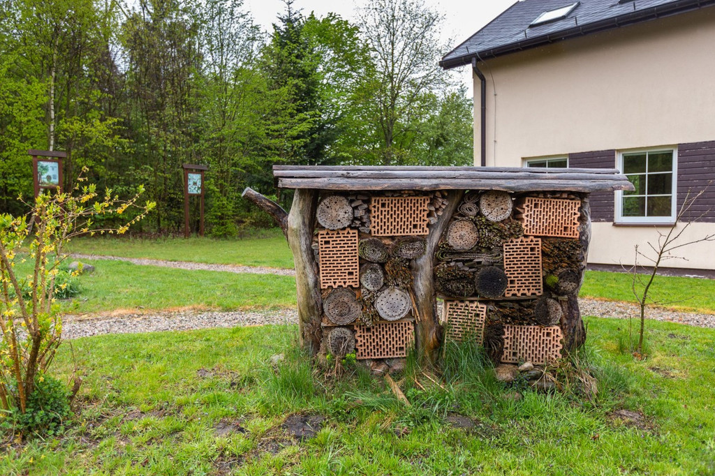 Brodnicki Park Krajobrazowy ma 40 lat