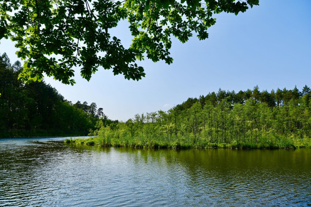 Brodnicki Park Krajobrazowy ma 40 lat