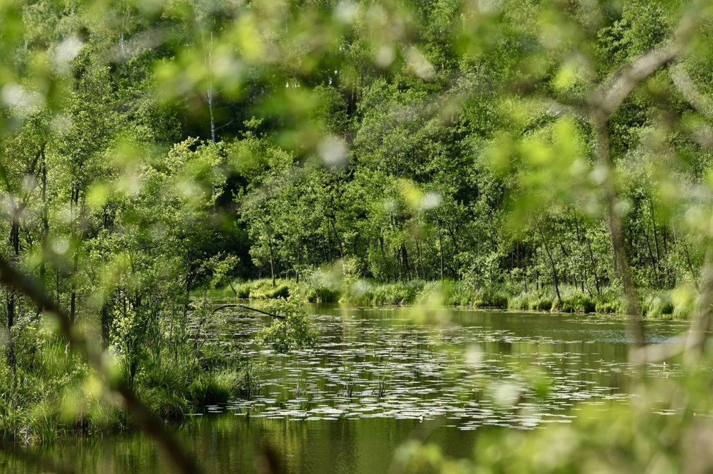 Brodnicki Park Krajobrazowy ma 40 lat
