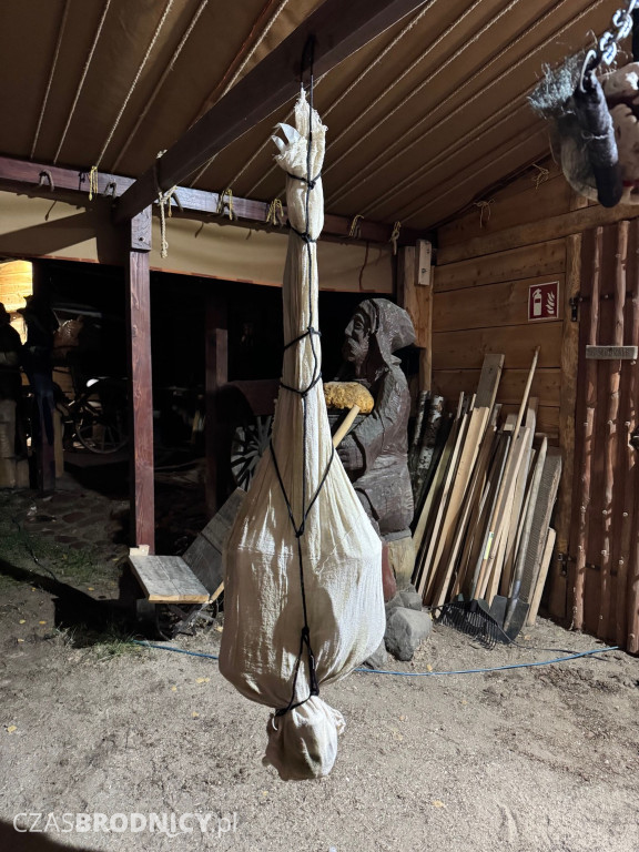 Niesamowite wydarzenie w środku lasu! [ZDJĘCIA]