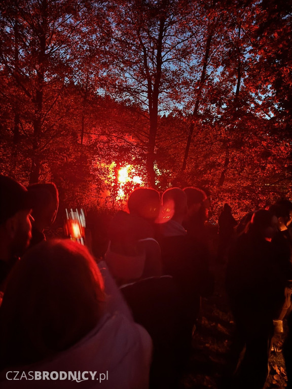 Niesamowite wydarzenie w środku lasu! [ZDJĘCIA]