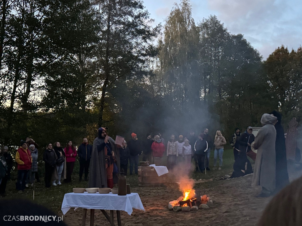 Niesamowite wydarzenie w środku lasu! [ZDJĘCIA]