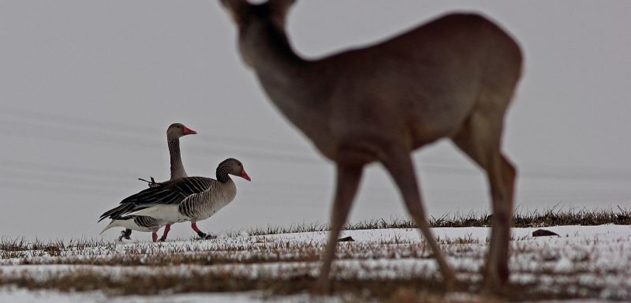 Wiosenny fotokonkurs do końca kwietnia [ZDJĘCIA]