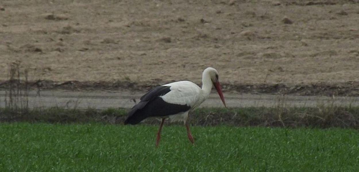Fotokonkurs - jeszcze tylko dziś [ZDJĘCIA - cz 6]