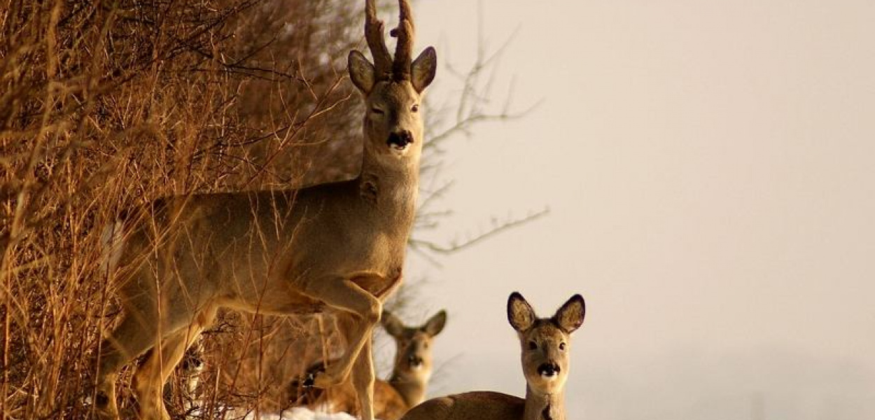Jego pasja to fotografowanie [ZDJĘCIA]