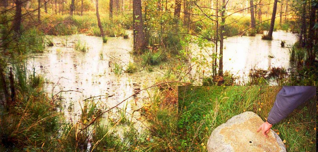 Brodnica i okolice. O diable, który straszy w Diabelcu