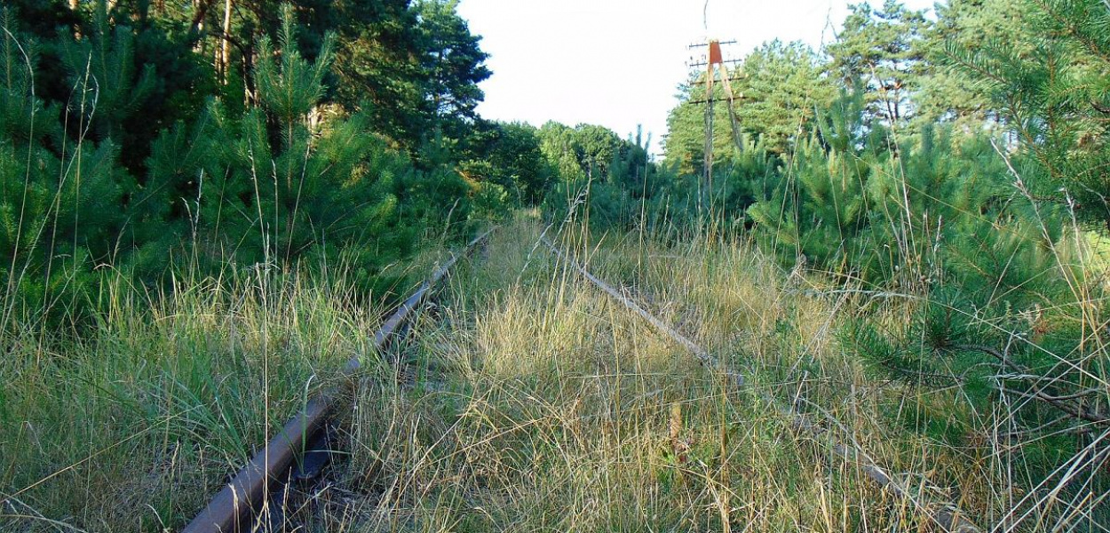 Foto: OFCE: Tory w kierunku Tamy Brodzkiej, a potem do Działdowa zarastają. Czy kiedyś pojawią się tu pociągi pasażerskie?