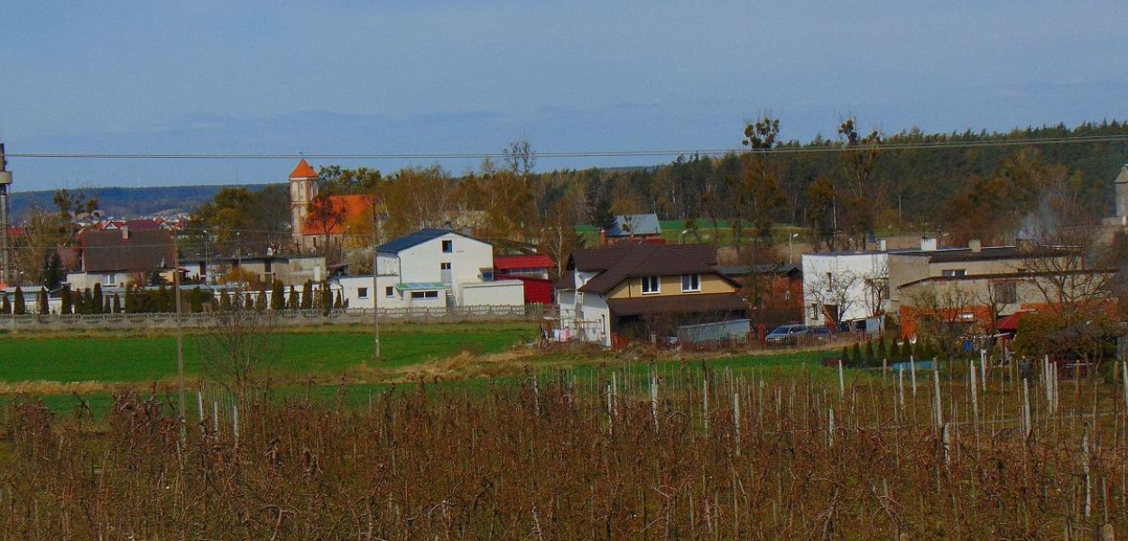 O wsiach Cielęta i Jastrzębie do XIII w.