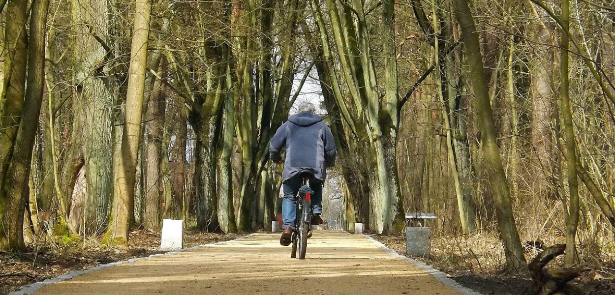 Foto: Krzysztof Cedro: Tak prezentuje się główna aleja nowo utworzonej strefy wypoczynkowo-rekreacyjnej w Lasku Miejskim w Brodnicy