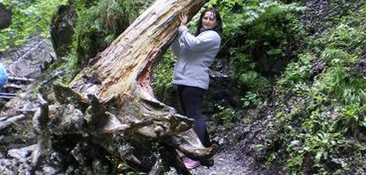 Foto 73. Autor Marian Bartoszewski: na szlaku Sucha Bela w Słowackim Raju.