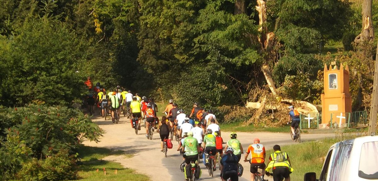 Fot. Krzysztof Cedro