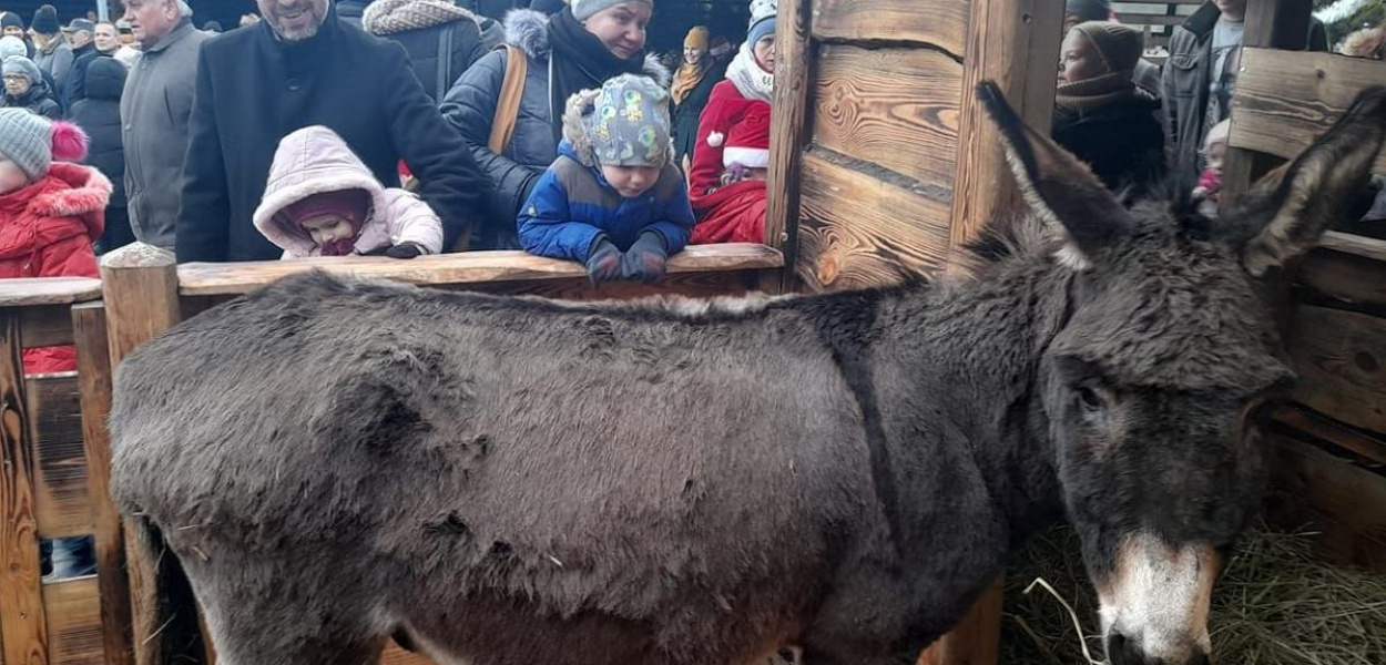 Fot. Krzysztof Cedro