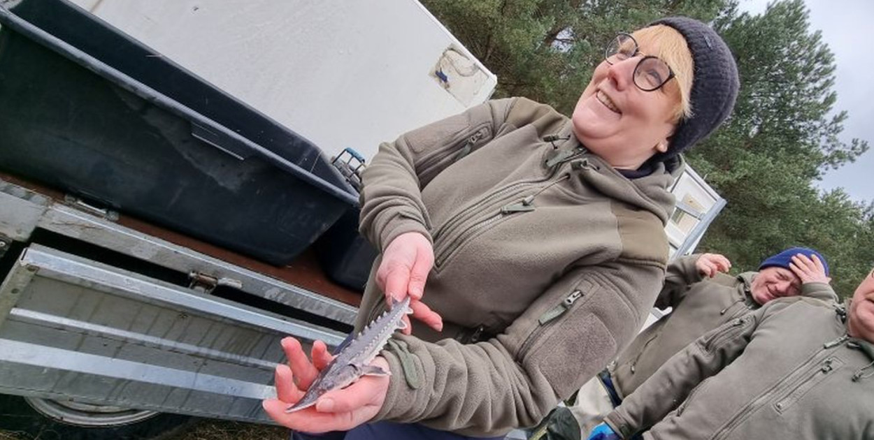 Fot. Przemysław Majchrzak:  Małe, ośmiomiesięczne jesiotry, które trafiły do Drwęcy, miały wagę około 50 gramów. Na zdjęciu Iwona Piotrowska z IRŚ w Olsztynie oraz Leon Grabiński, pracownik Zakładu Hodowli Ryb Jesiotrowatych w Pieczarkach koło Giżycka 