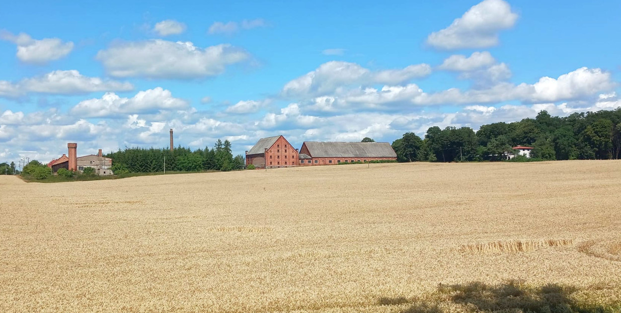 Legendy z okolic Brodnicy. O karbowskim upiorze