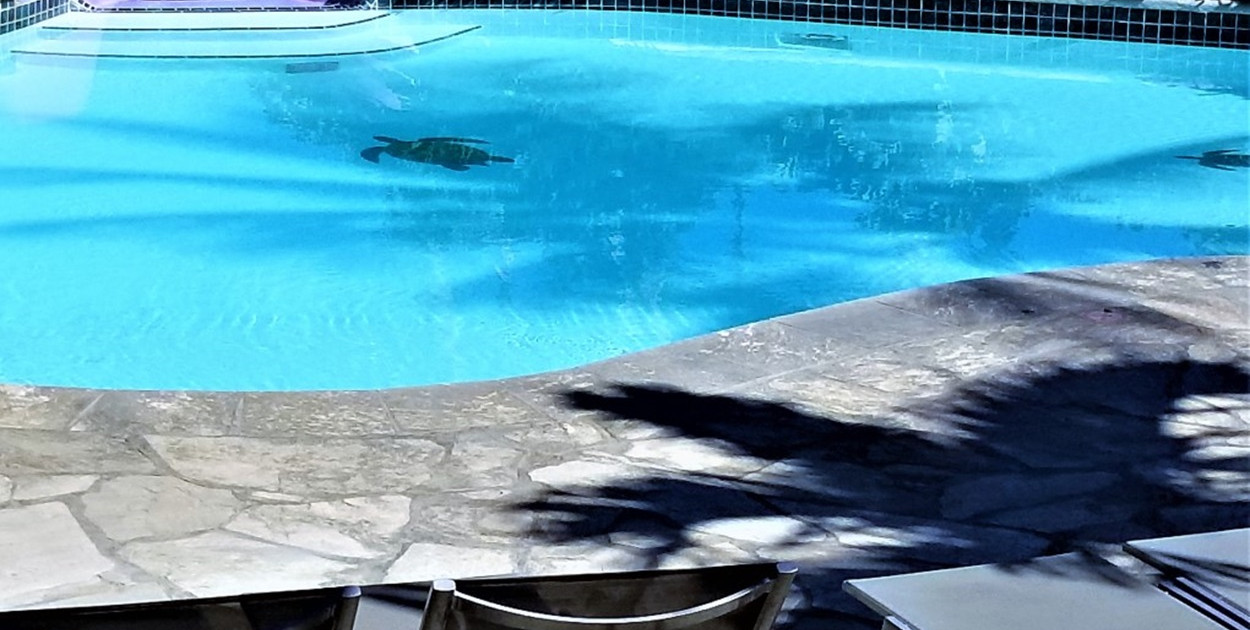 Generator chloru do basenu: bezpieczeństwo i higiena