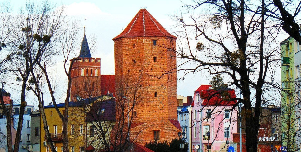Fot. Krzysztof Cedro
