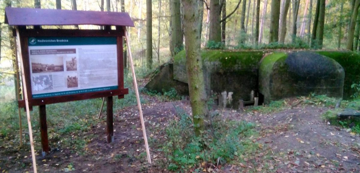 Foto RS: Dzięki Nadleśnictwu Brodnica i Stowarzyszeniu Eksploracyjno-Historycznemu Ziemi Michałowskiej 'Cultura' przy przedwojennym bunkrze nad jeziorem Zbiczno ustawiono tablicę z historią tego miejsca