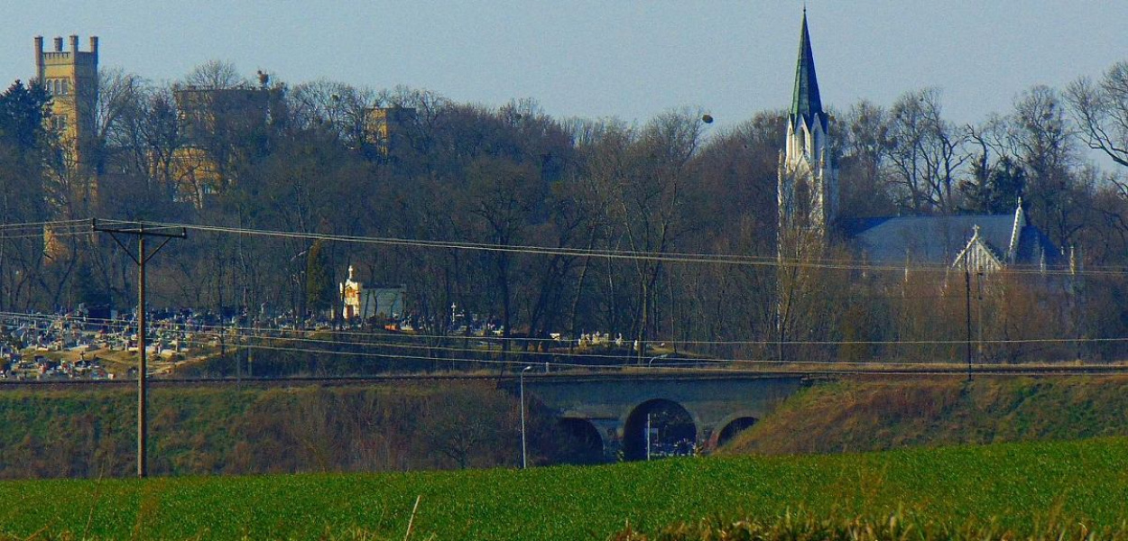 Foto: OFCE: Widok od strony wsi Jaguszewice. Z lewej Pałac Narzymskich, z prawej kościół św. Wojciecha