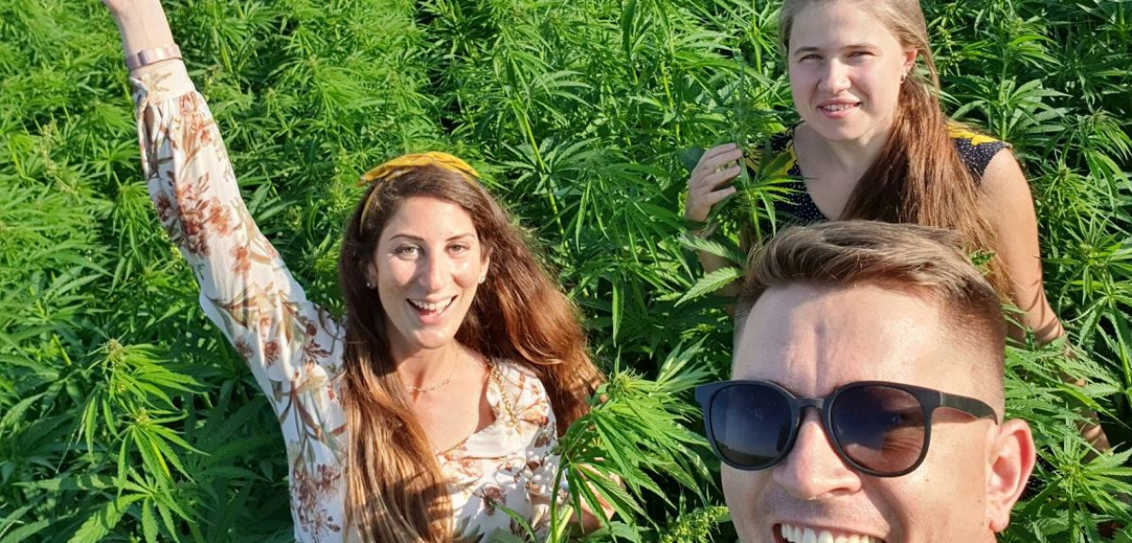 Foto: MO: Plantacja należy do Krystiana Ambroziaka. Zbiory już niedługo.