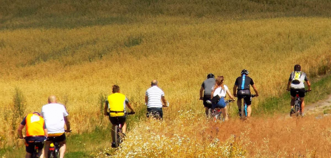Foto: Krzysztof Cedro: Nie tylko lasami, ale także wśród dojrzewających zbóż, przebiega trasa z cyklu 'Kujawsko-Pomorskie na rowery' ze startem i metą w Brodnicy