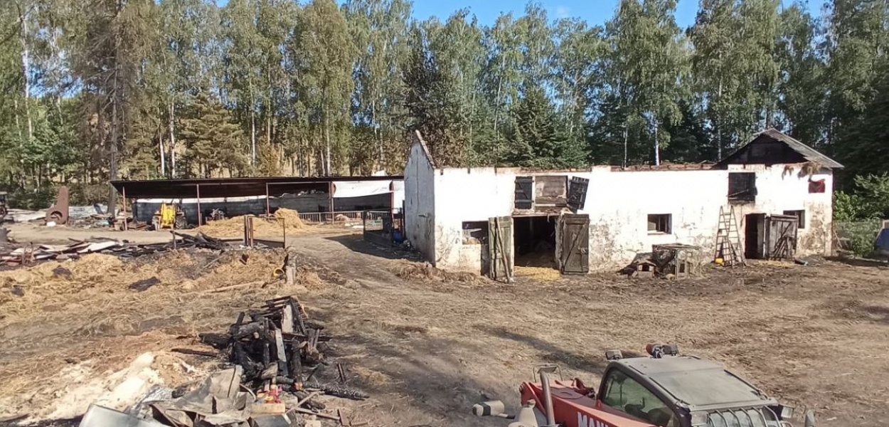 Foto: NADESŁANE: Udało się uratować jedynie dom w Małym Głęboczku, cała reszta gospodarstwa - stodoła, obora, chlew, zwierzęta - wszystko spłonęło doszczętnie
