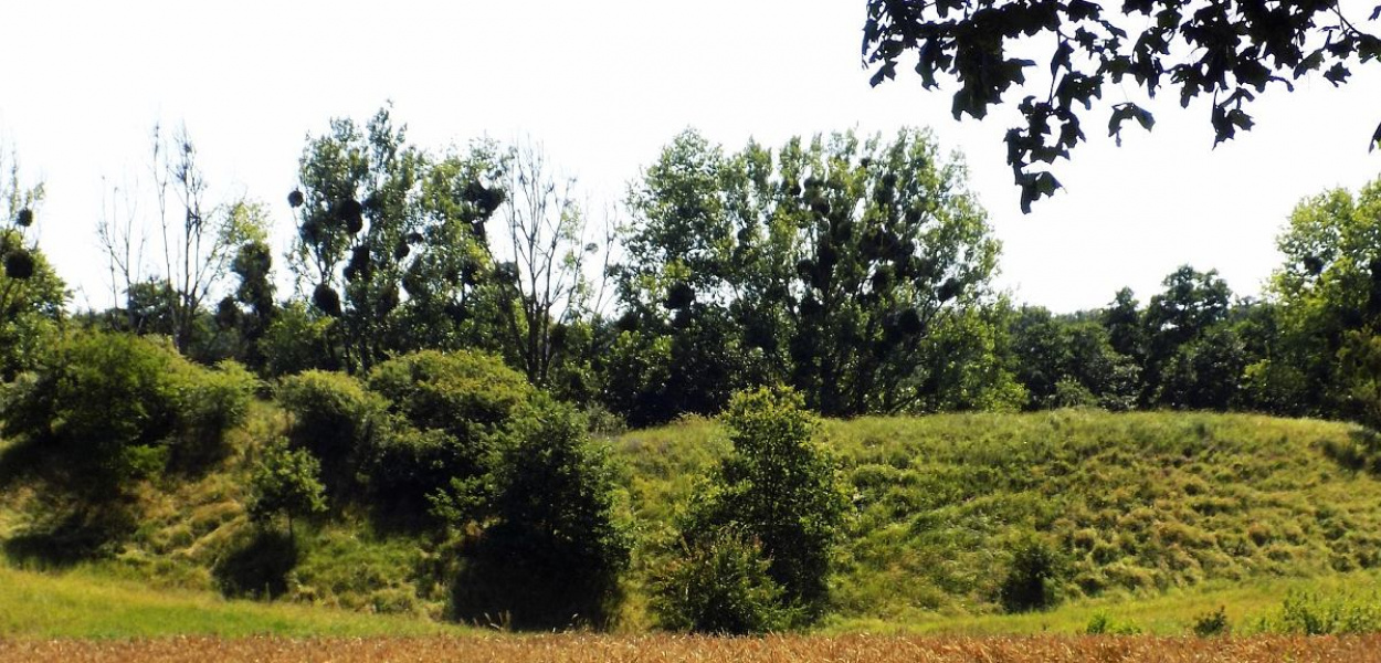 Foto: OFCE: Grodzisko nad jeziorem Oleczno w Bobrowie