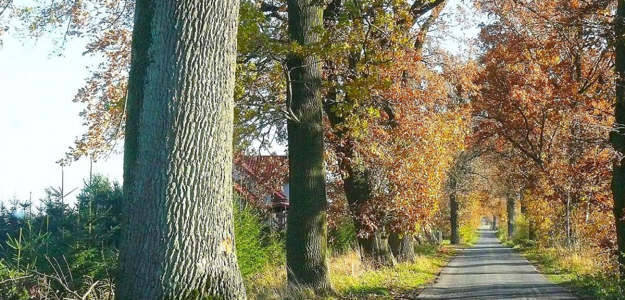 Fot. Nadesłane