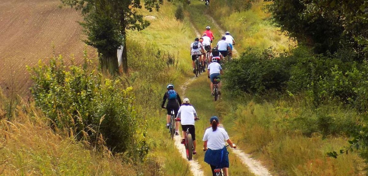 Foto: Krzysztof Cedro: Trasy rowerowe na Pojezierzu Brodnickim wiją się wśród pól. Tu w okolicach Brzezinek.