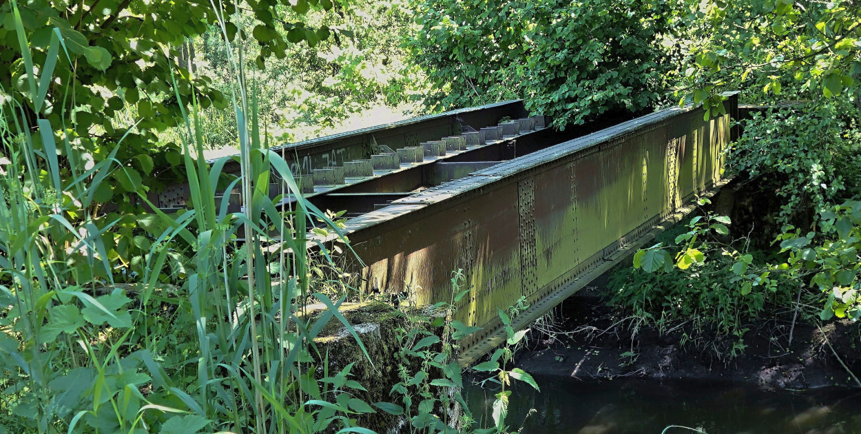 Pozostałości mostu bocznicy przerzuconego nad Brynicą (fot. S. A)