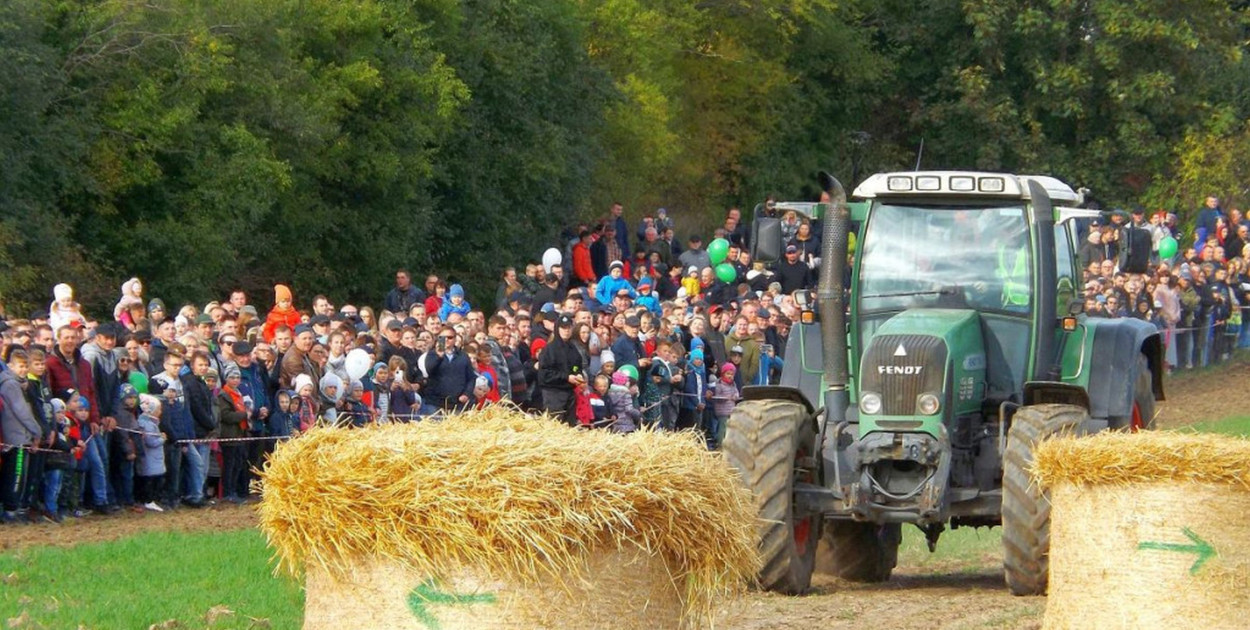 Fot. Krzysztof Cedro