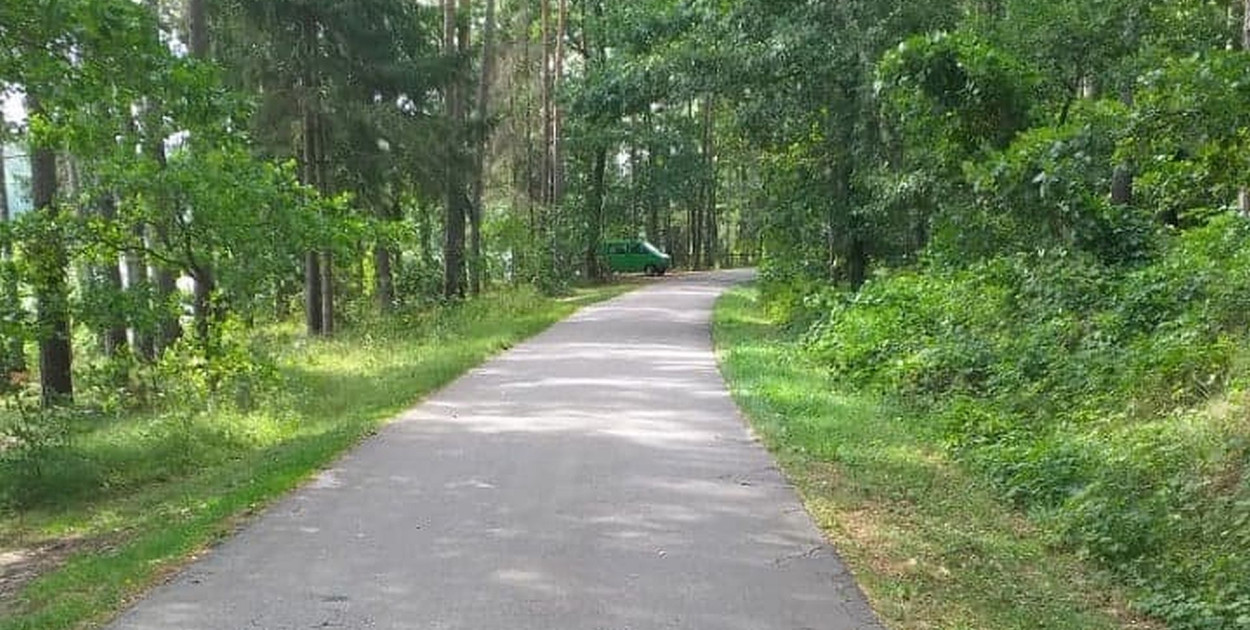 Dziwne wzniesienie na drodze Zbiczno-Górale /fot. Radosław Stawski/